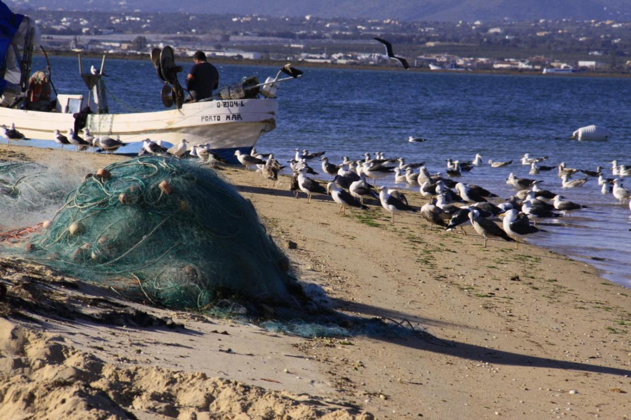 شقة Dans Les Nuages Armação de Pêra المظهر الخارجي الصورة
